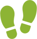 shoestep_icon